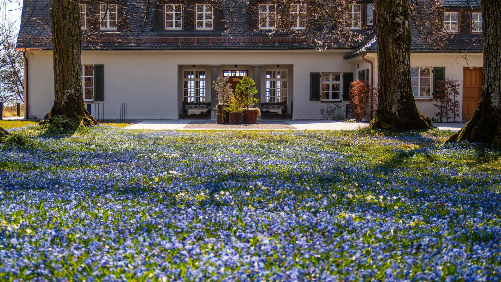 [Translate to English:] 