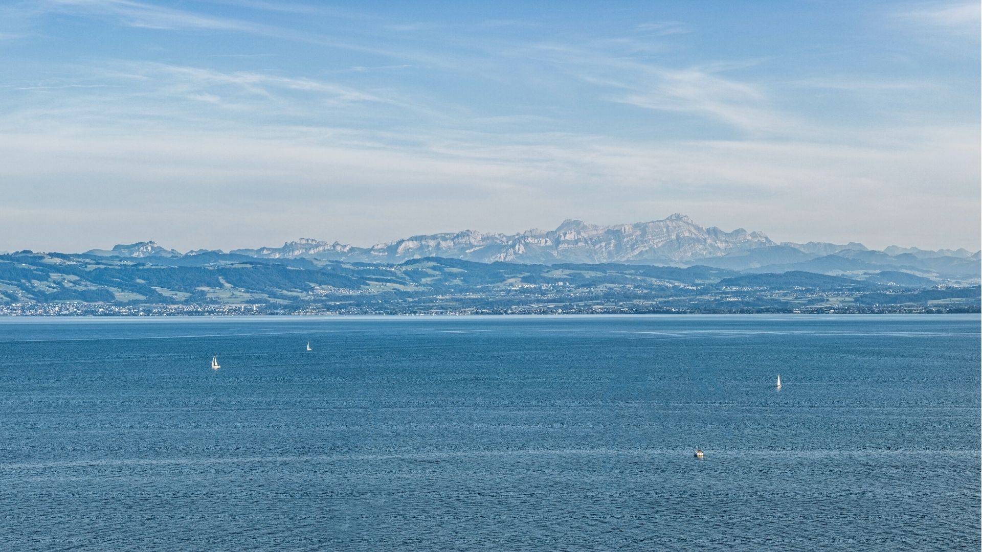 [Translate to English:] 